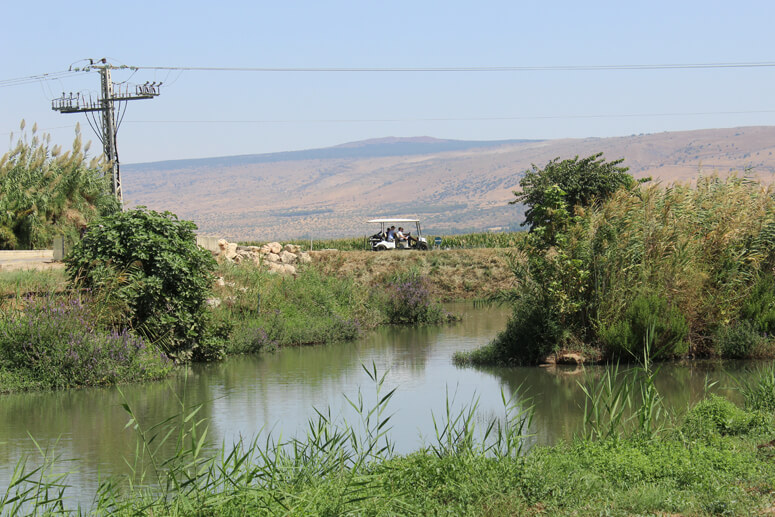 ימת החולה ימת החולה